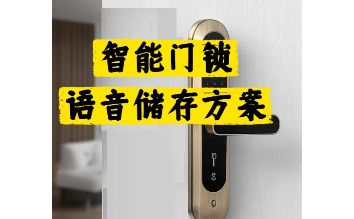 电子智能门锁语音音频存储方案外置SPI储存